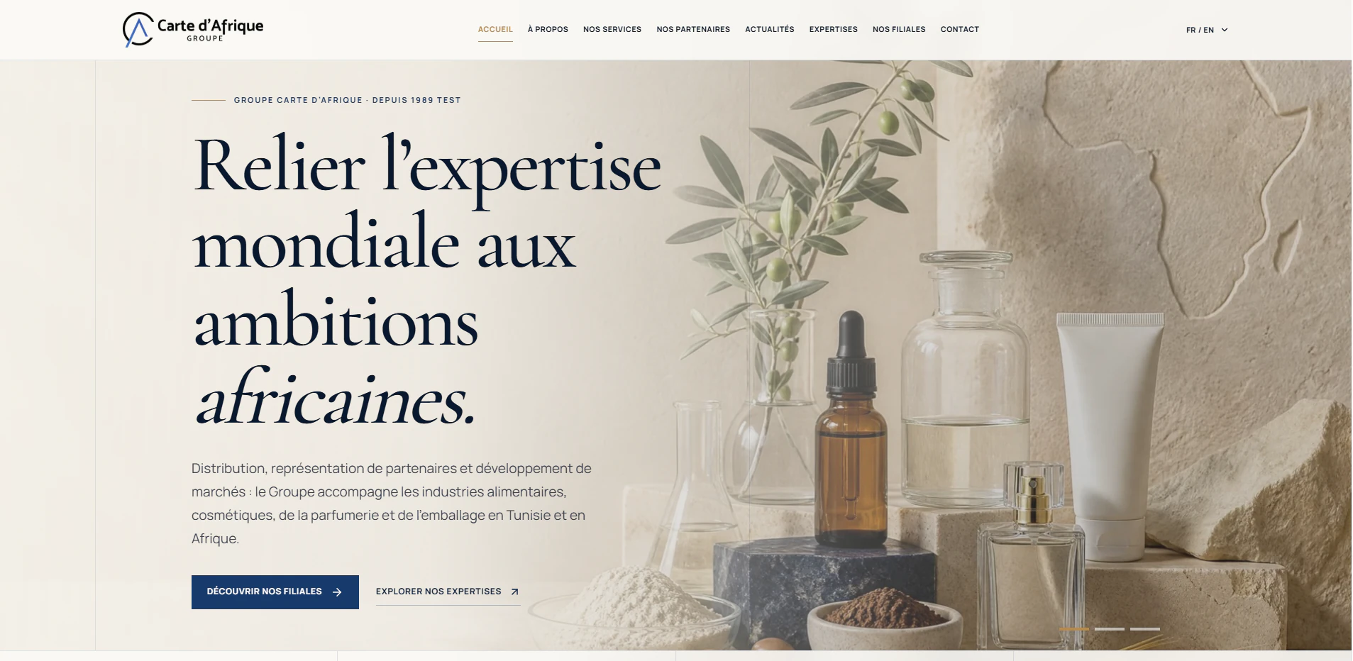 Page d’accueil du site du Groupe Carte d’Afrique