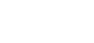 I lead consulting logo