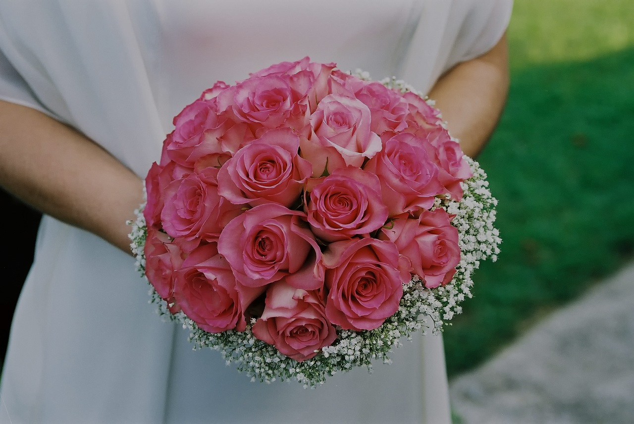 Prime Rosa image avant