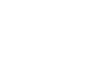 Bagotti Logo