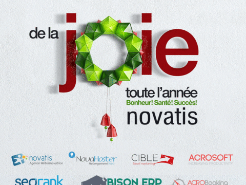bonne année 2017