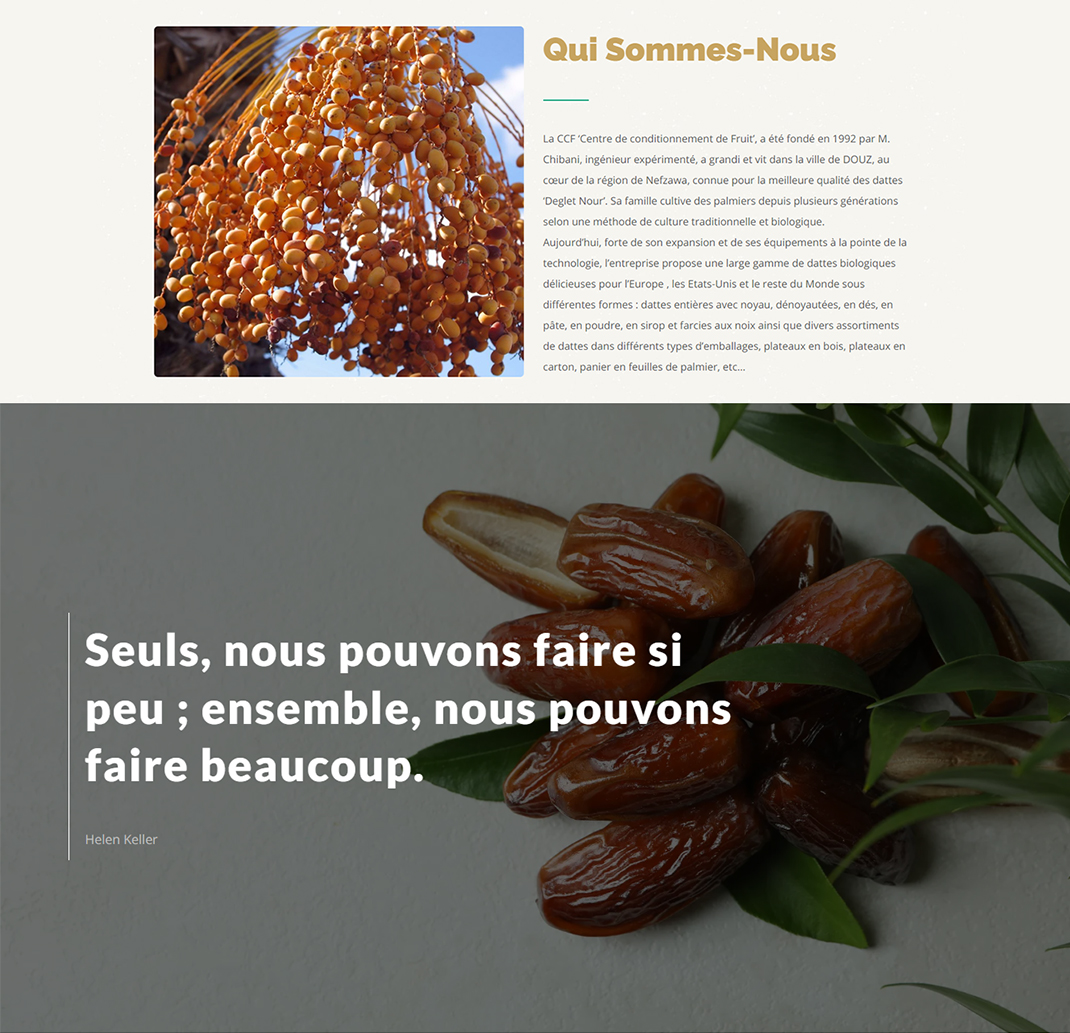 Notre Mission pour CCF dattes