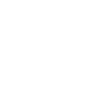 Net Glass logo