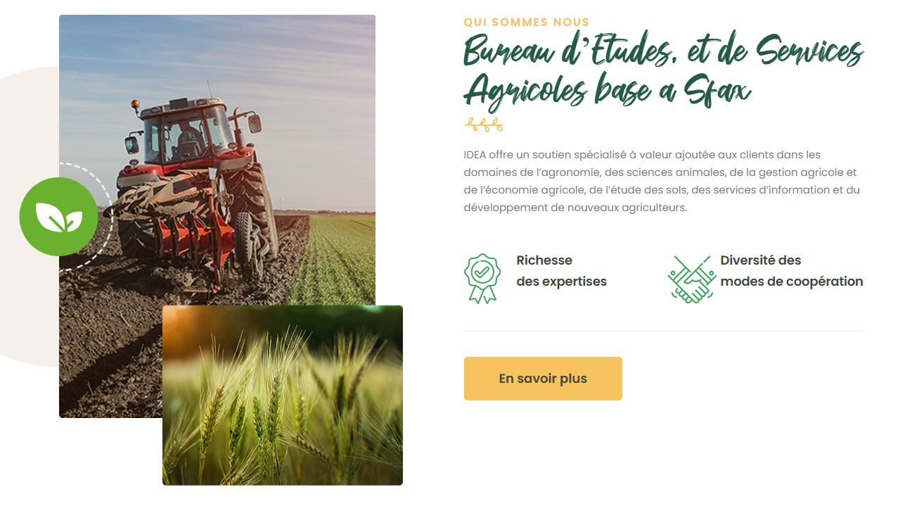 Notre Mission pour IDEA