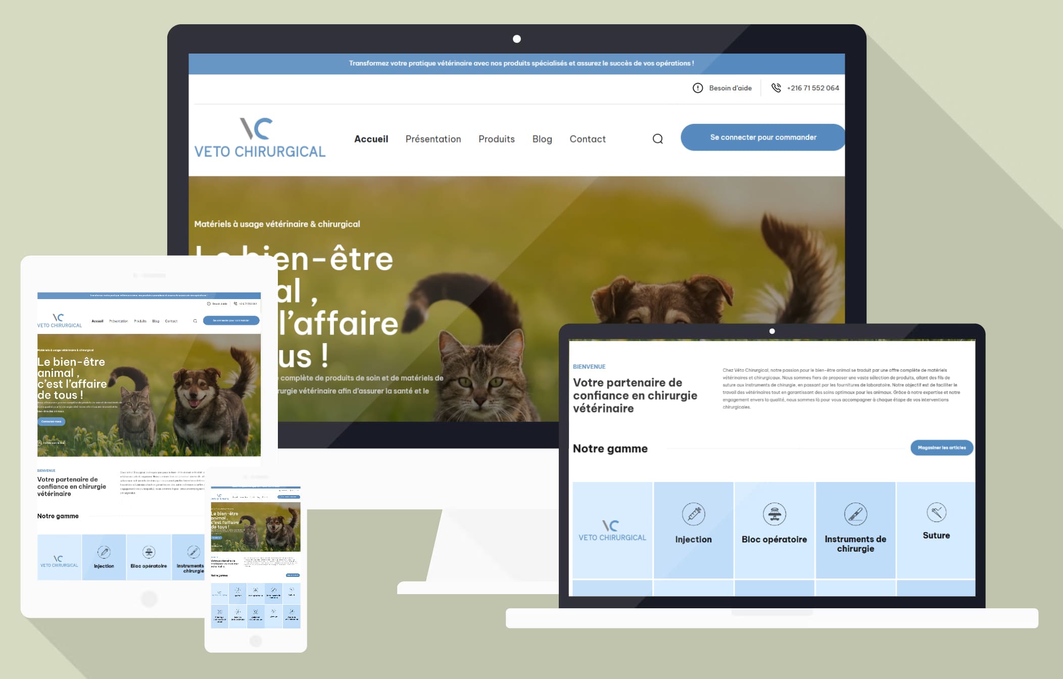 Présentation Veto Chirurgical