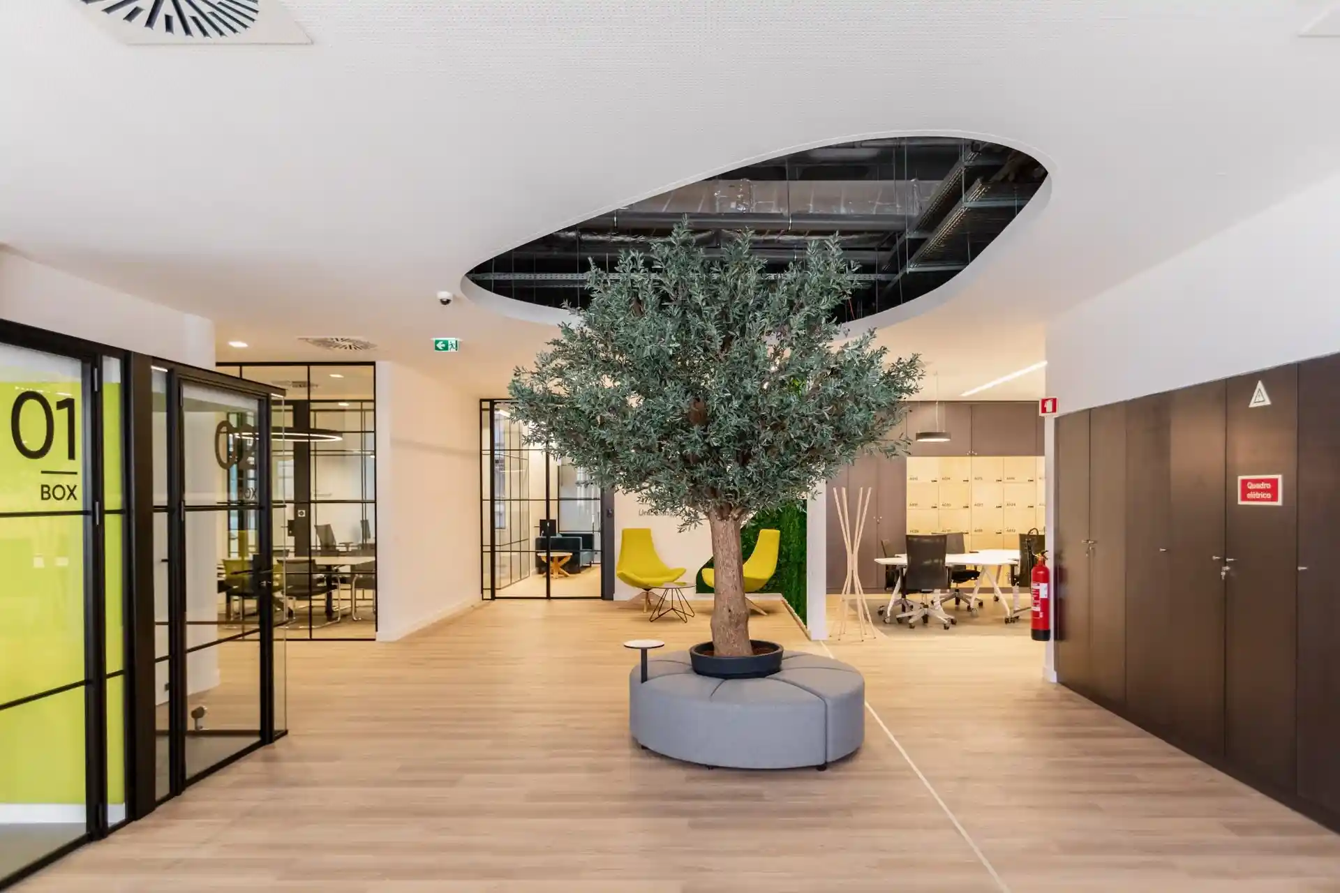 agence-seo Agence web novatis
