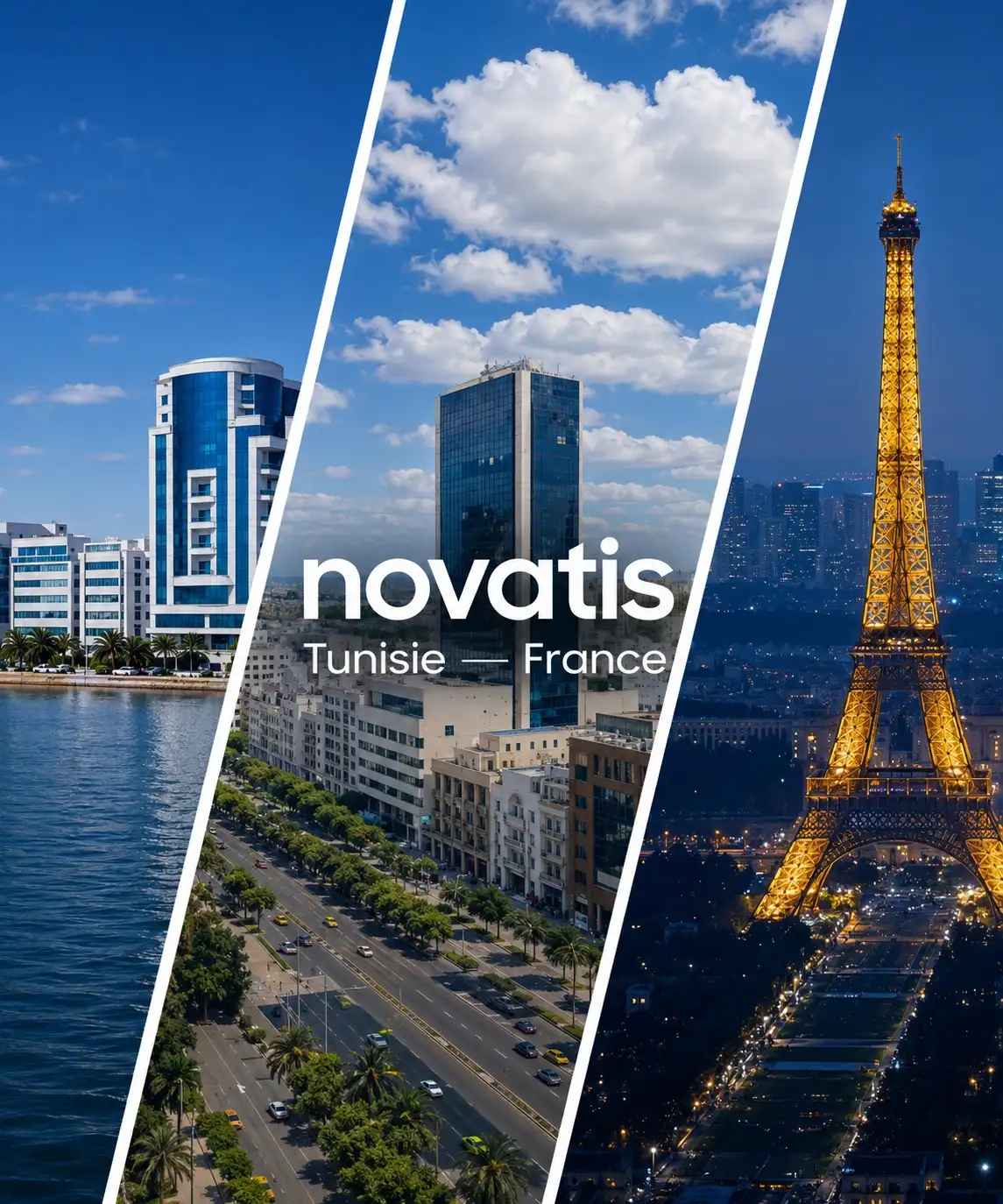 tunisie-france Novatis en tunisie et en france